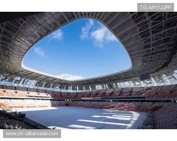 南非世界杯韩国队比赛场馆全景介绍与观赛指南